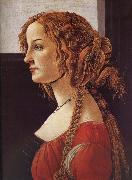 Sandro Botticelli  Germany oil painting artist